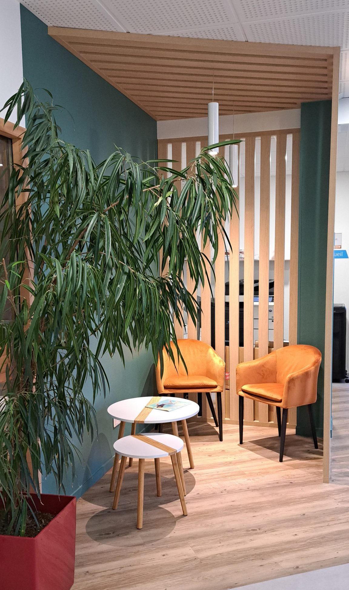 20231206 161750 scaled e1756289633321 IFSO