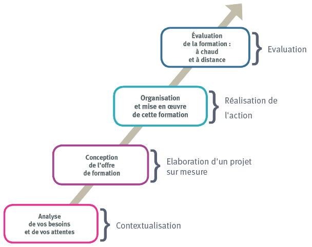 Elaboration IFSO