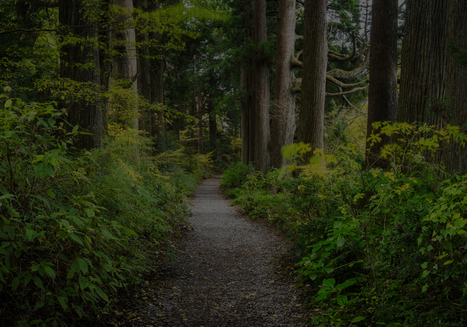 Preview saint gildas fonce 1 IFSO