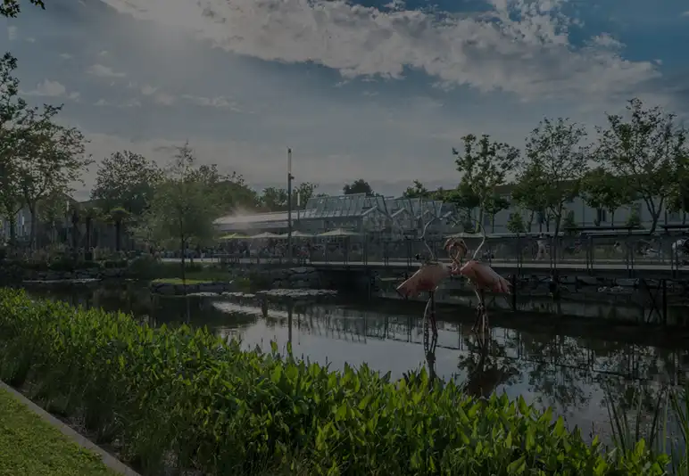 ville la roche sur yon
